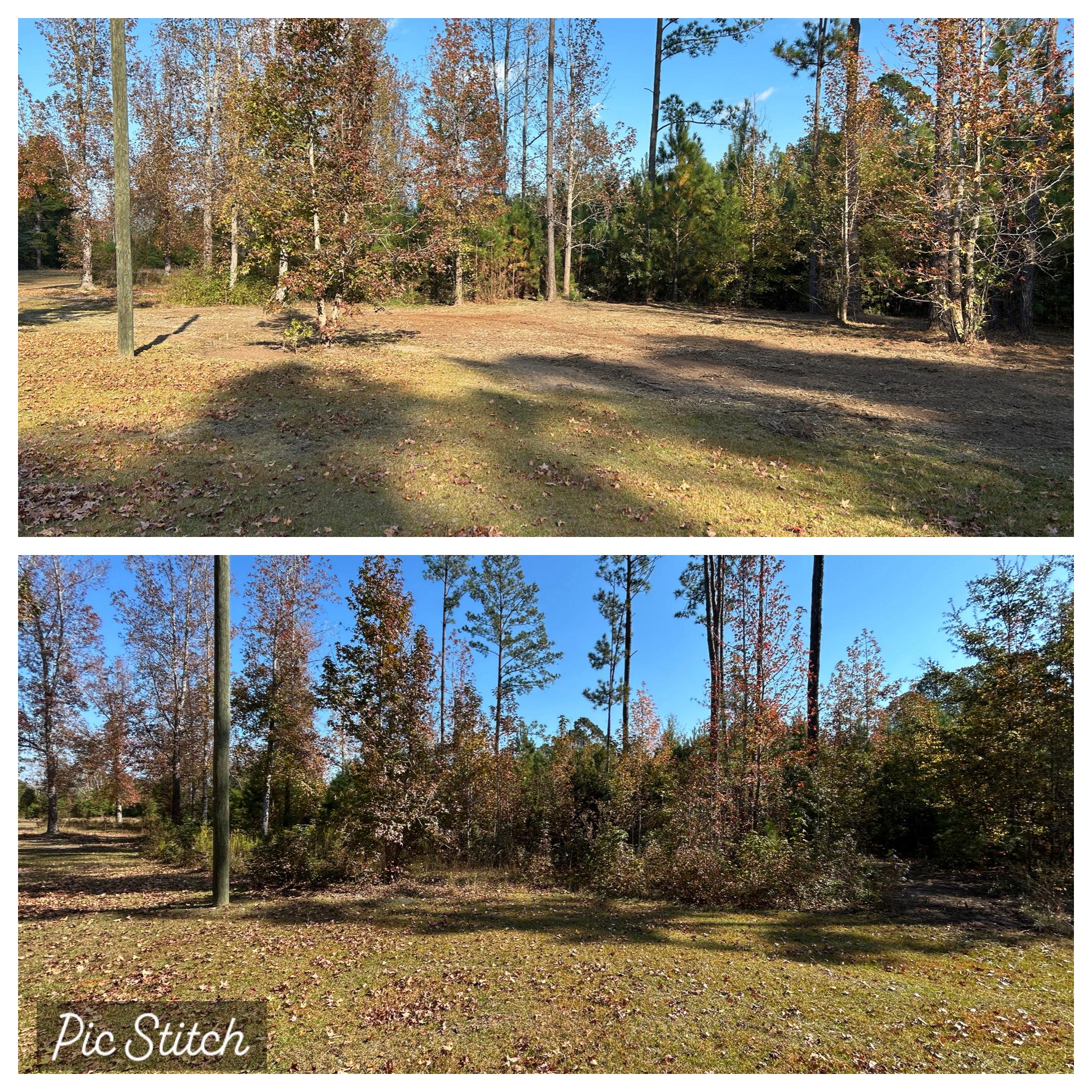 Before and after forestry mulching job in the Savannah area