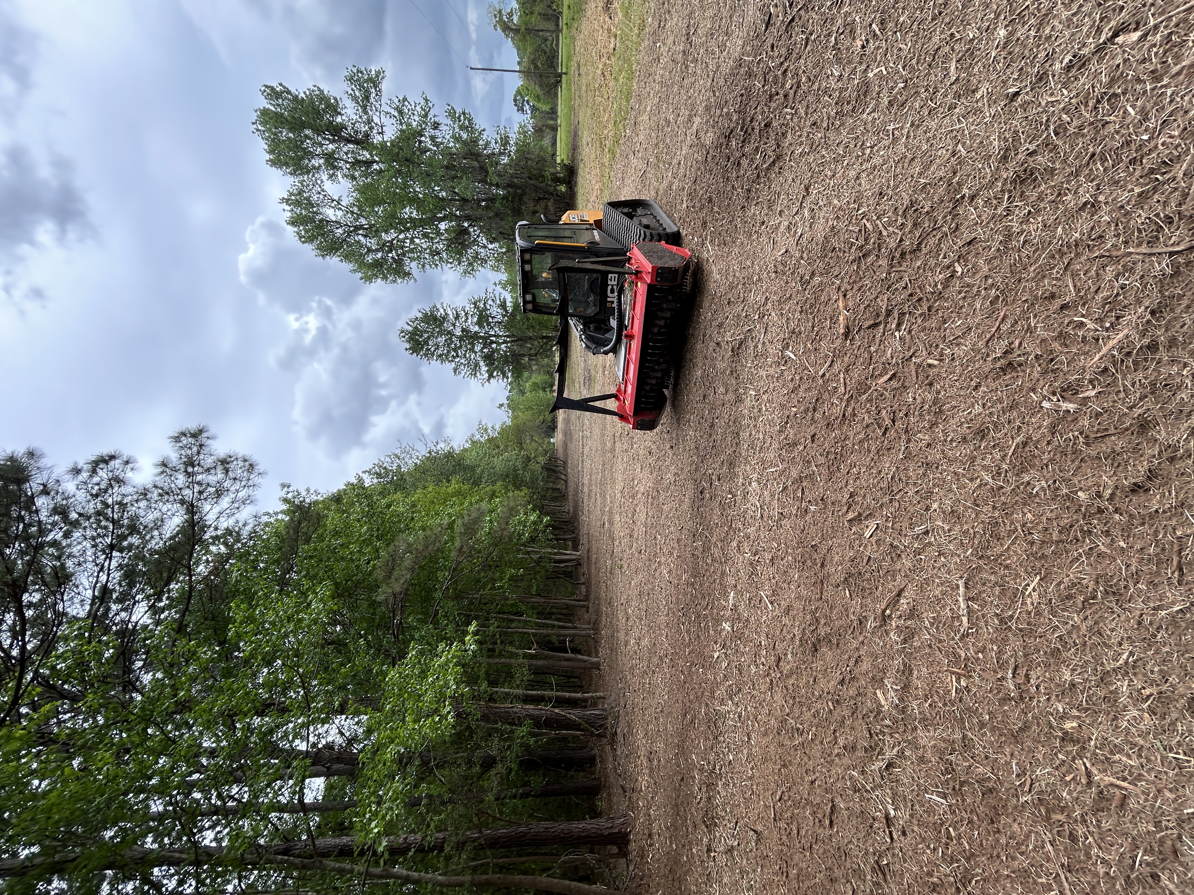 JCB Teleskid forestry mulcher working on a land clearing job